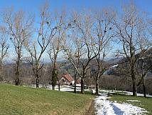 Blick auf den Hof Lauwilberg  
