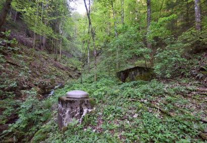 Die Bürtengrabenquellen Foto: Thomas Mosimann