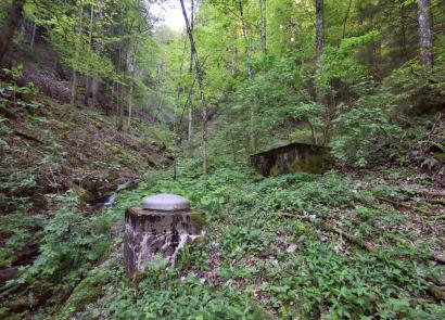 Bürtengrabenquellen Foto: Thomas Mosimann