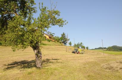 Bewirtschaftung beim Hof Hausmatt Foto: Thomas Mosimann