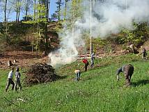 Äste verbrennen am Arbeitstag im 2011