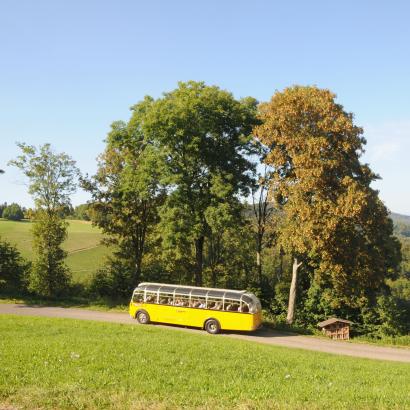 Ankunft der Exkursionsgruppe im Goldseilerengebiet Foto: Thomas Mosimann