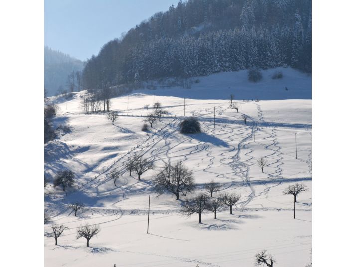 Tiefschneefahren im Winter 2012