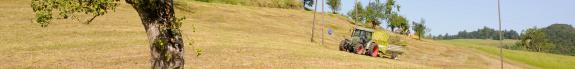 Banner Landwirtschaft