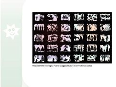 Loueler Bott Januar 2019