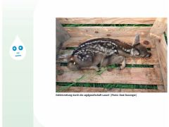 Loueler Bott September 2020