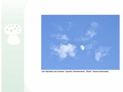 Loueler Bott November 2020