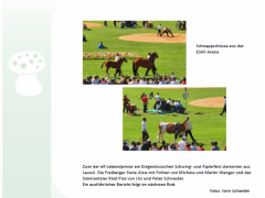 Loueler Bott Septembeer 2022