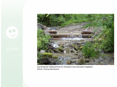 Loueler Bott Juli 2023