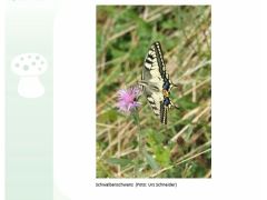 Loueler Bott September 2023